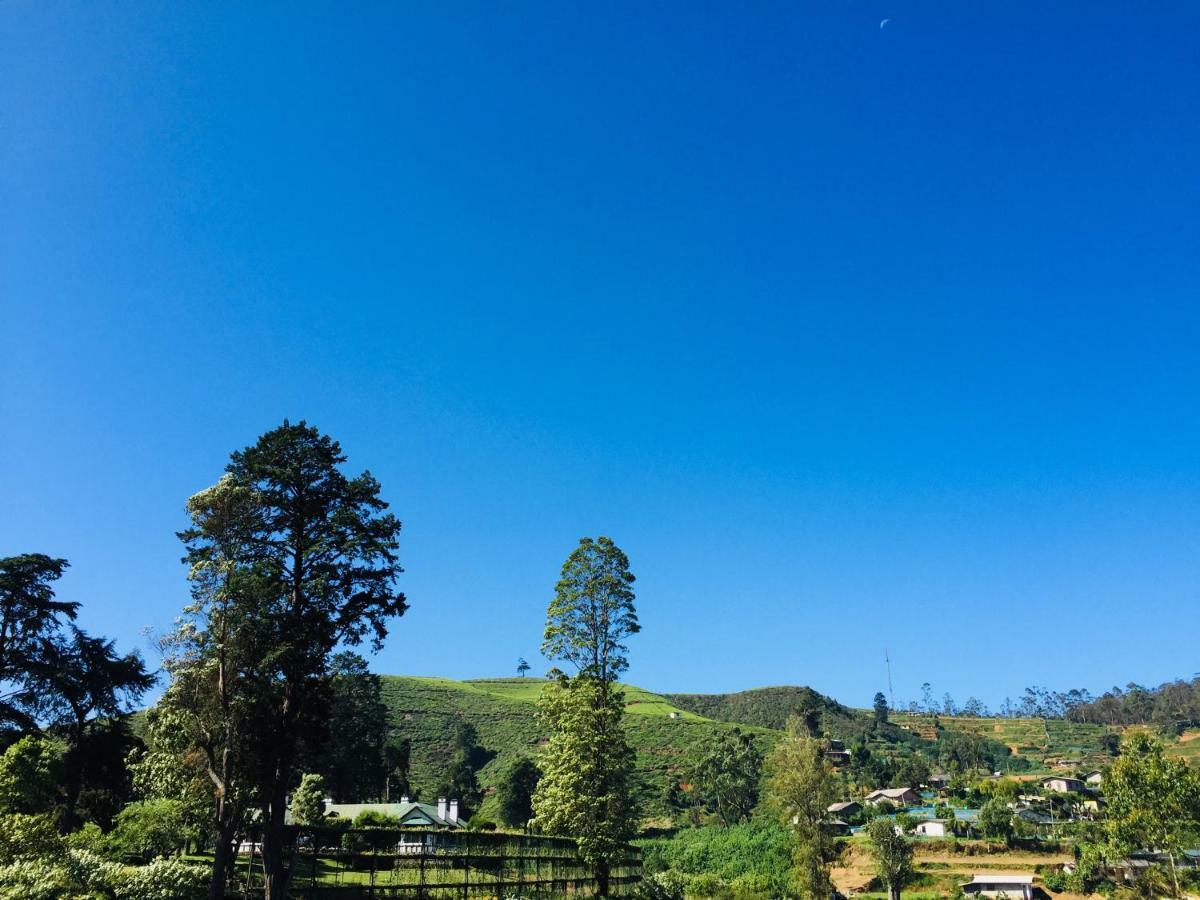 Highest Village Bungalow ヌワラ・エリヤ エクステリア 写真